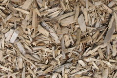 biomass boilers Bashley