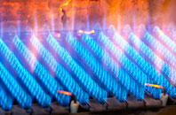Bashley gas fired boilers